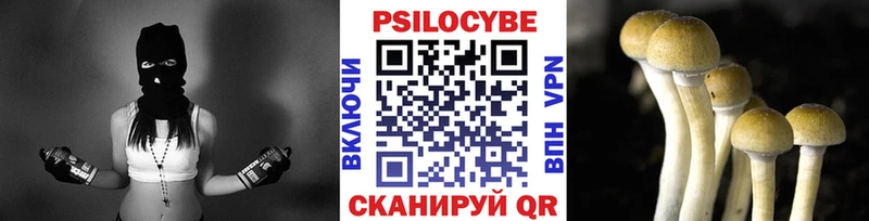 Псилоцибиновые грибы MAGIC MUSHROOMS  магазин продажи наркотиков  Мантурово 